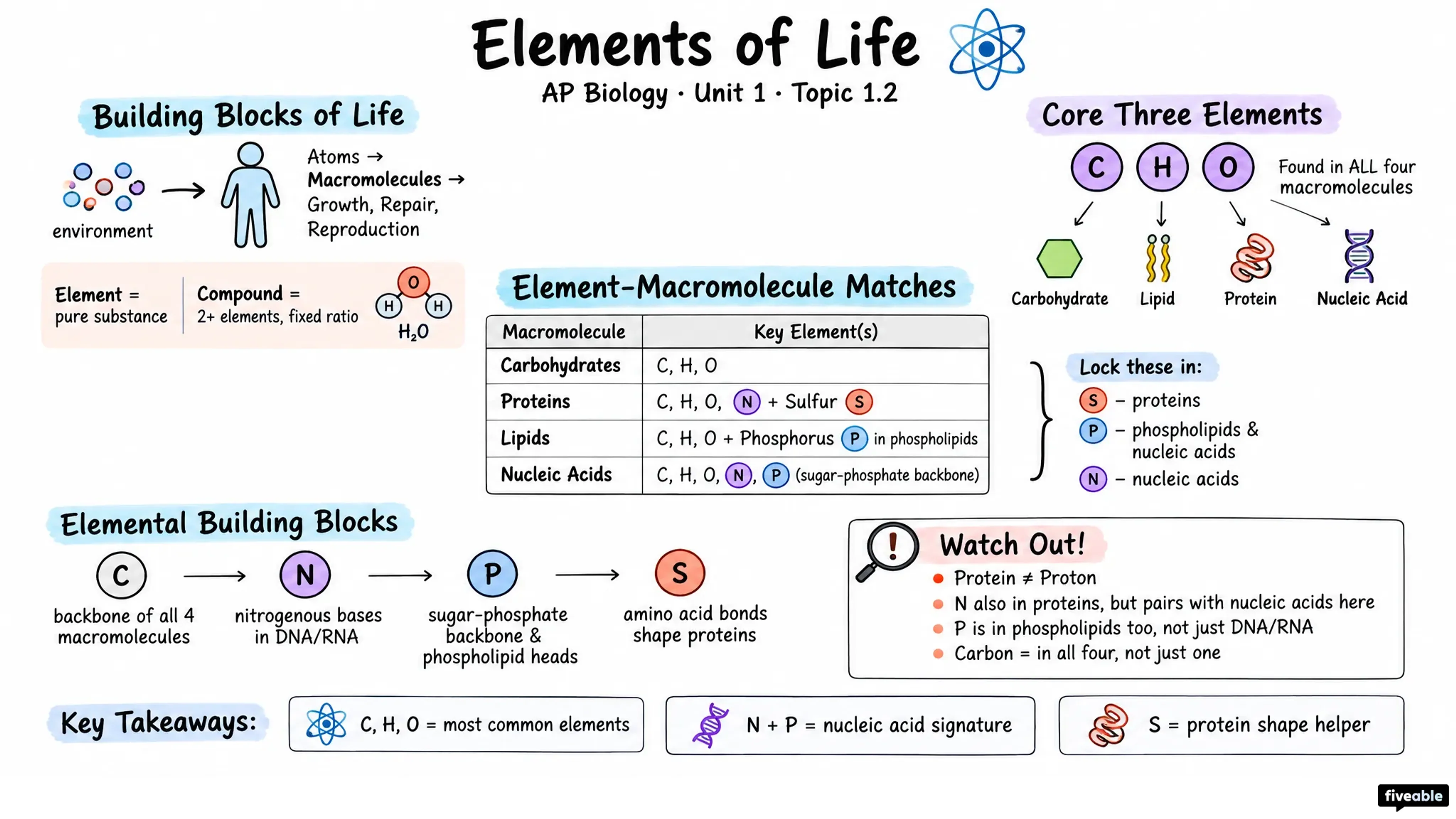 1.2 Elements of Life - AP Biology - Unit 1 visual cheatsheet