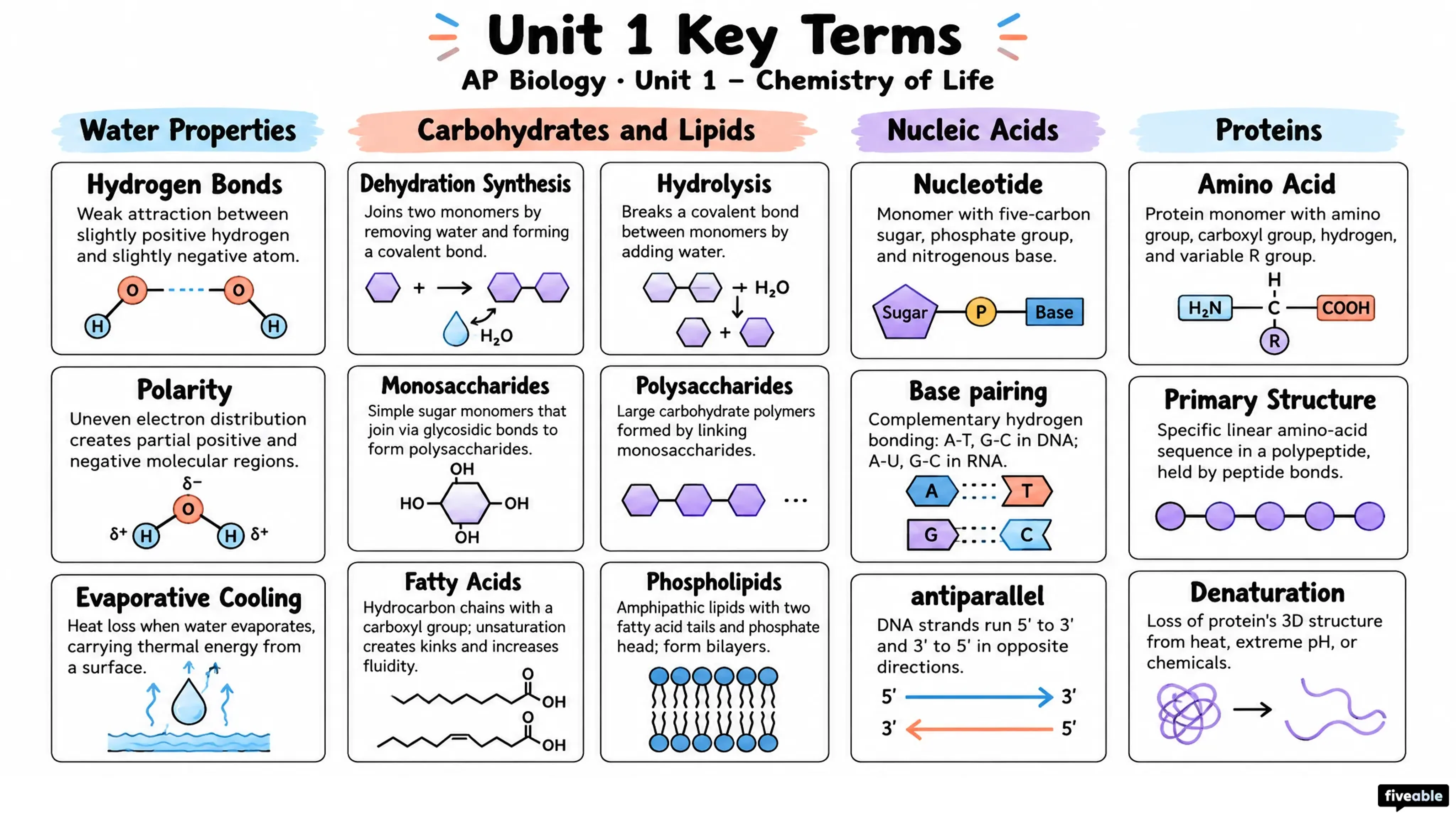 AP Biology Unit 1 Key Terms - AP Biology - Unit 1 visual cheatsheet