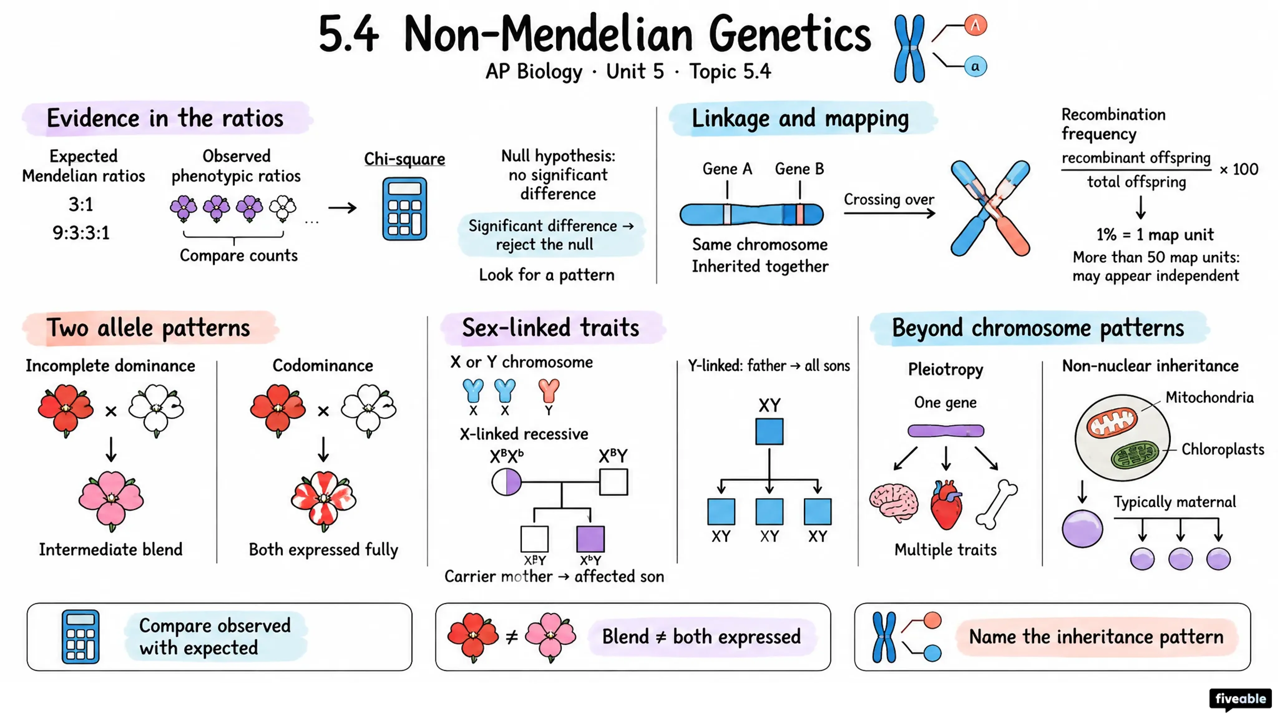 5.4 Non-Mendelian Genetics - AP Biology - Unit 5 visual cheatsheet