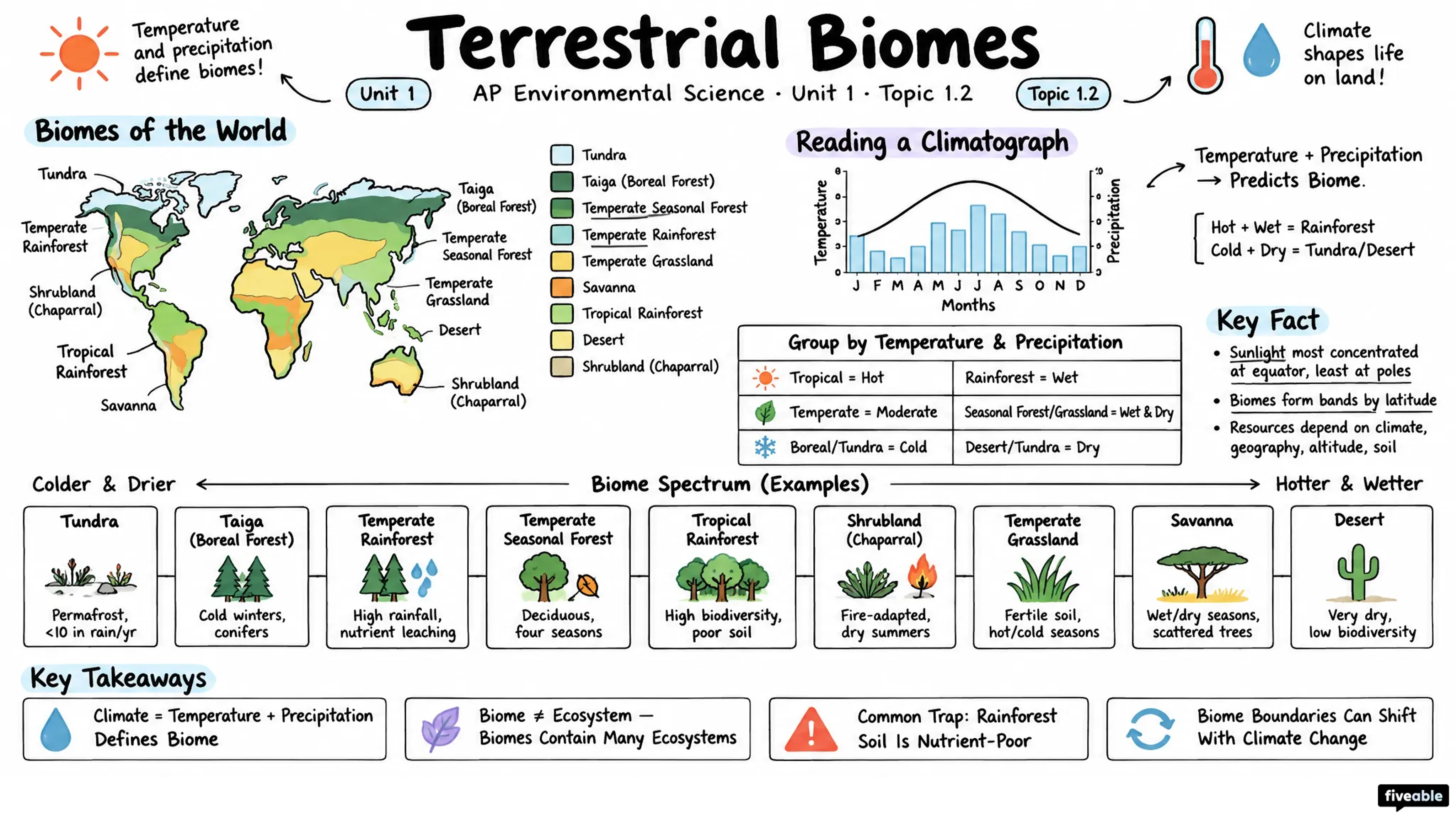 1.2 Terrestrial Biomes - AP Environmental Science - Unit 1 visual cheatsheet
