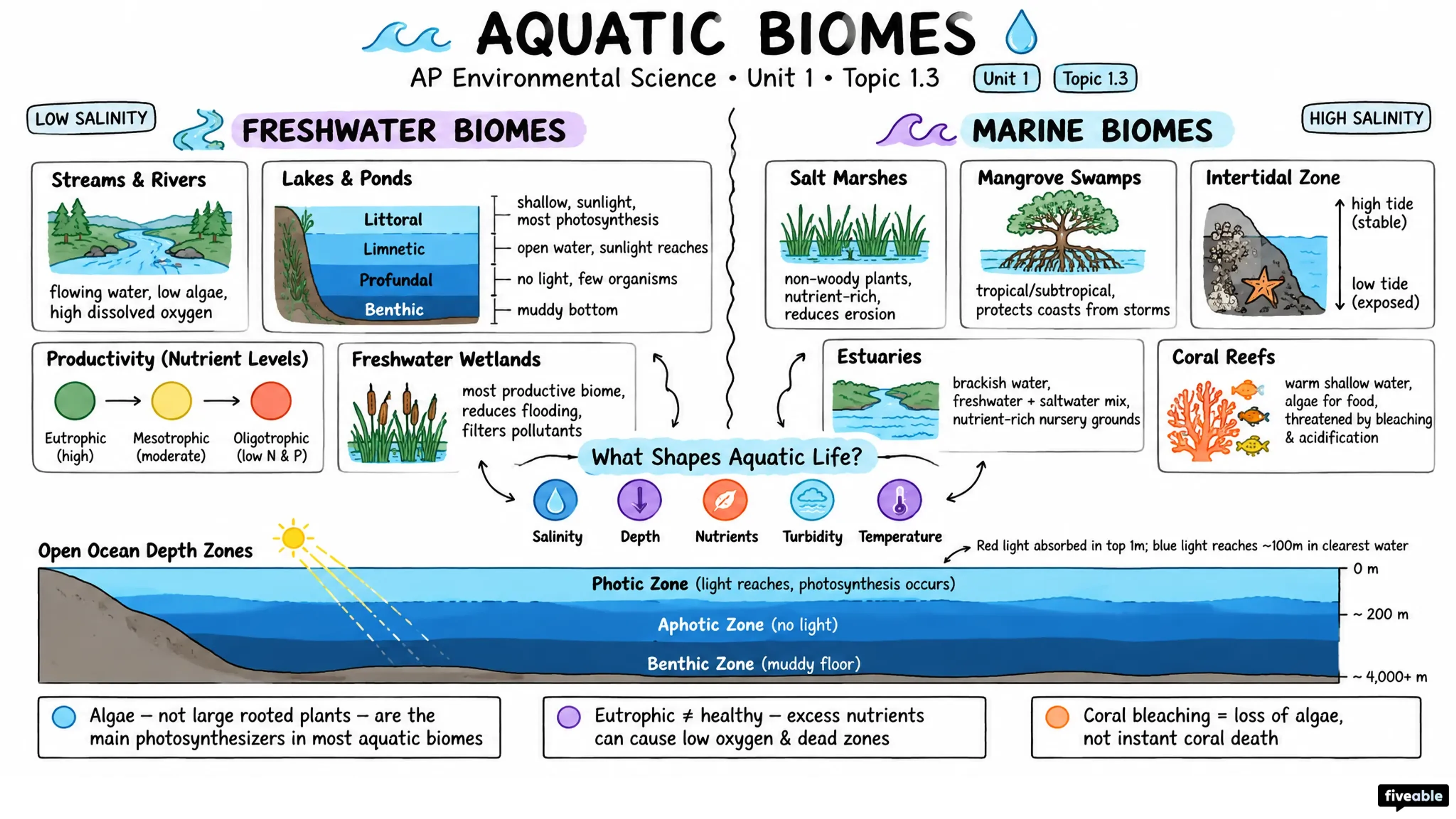 1.3 Aquatic Biomes - AP Environmental Science - Unit 1 visual cheatsheet