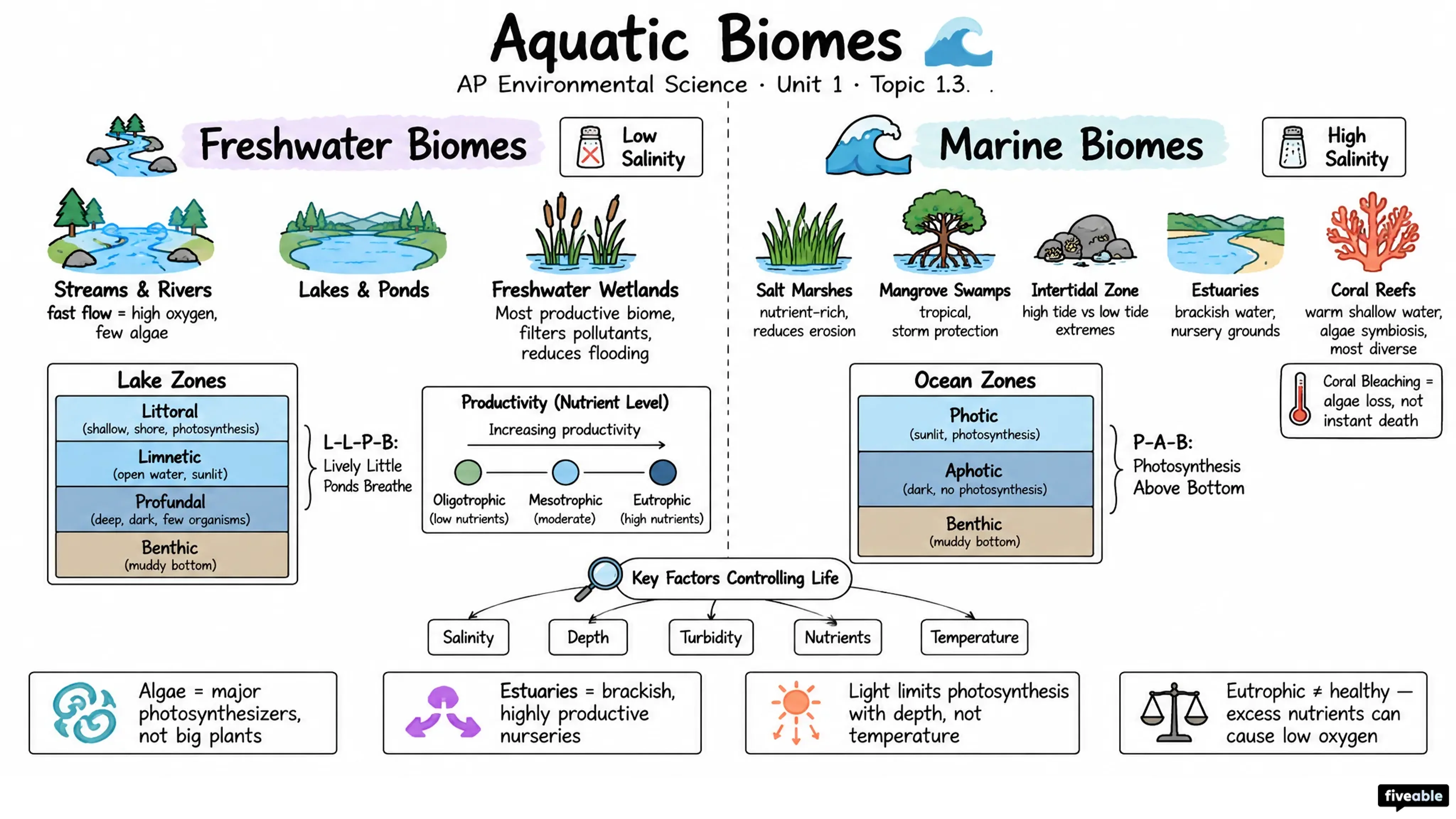 1.3 Aquatic Biomes - AP Environmental Science - Unit 1 visual cheatsheet