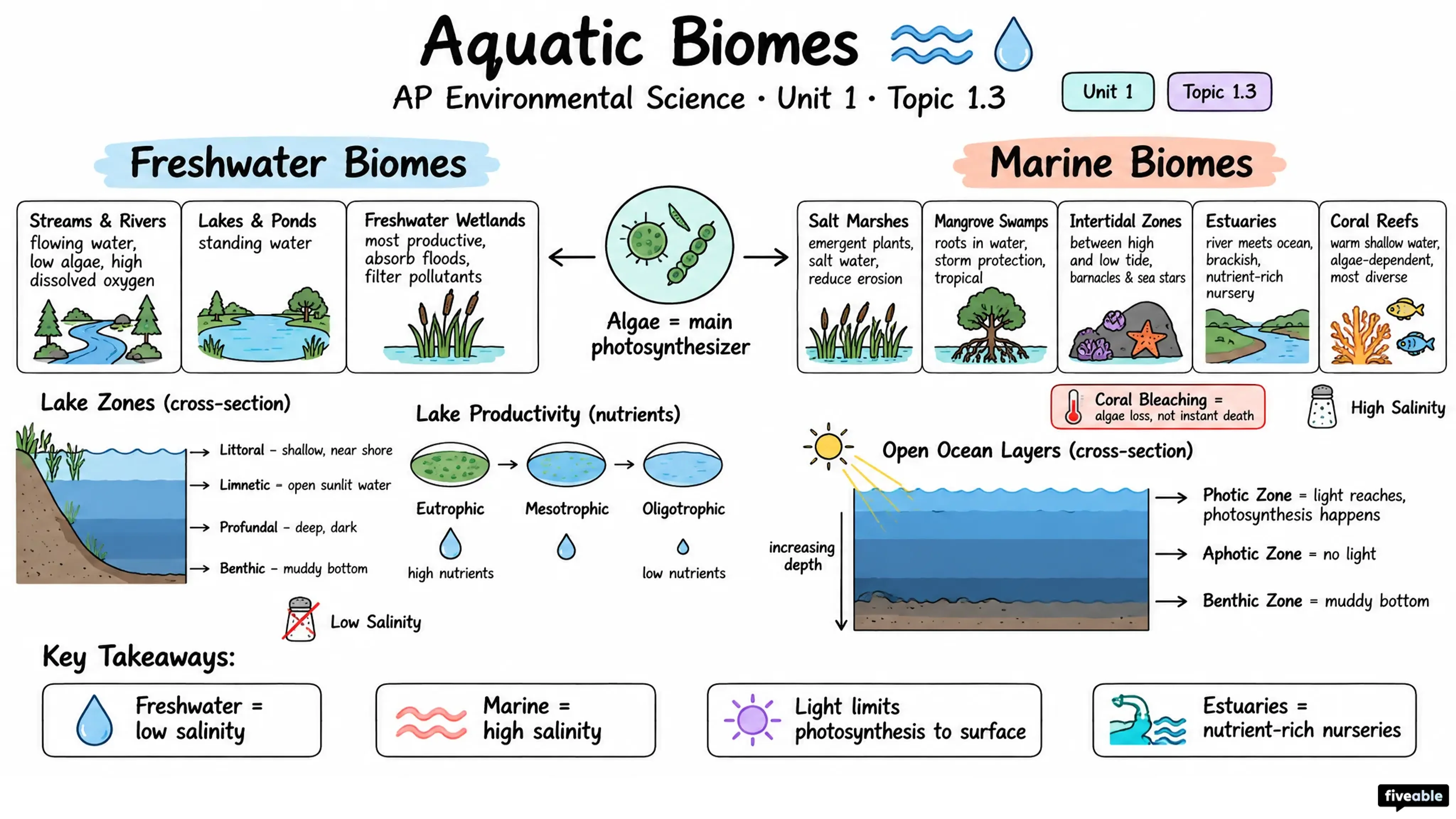 1.3 Aquatic Biomes - AP Environmental Science - Unit 1 visual cheatsheet