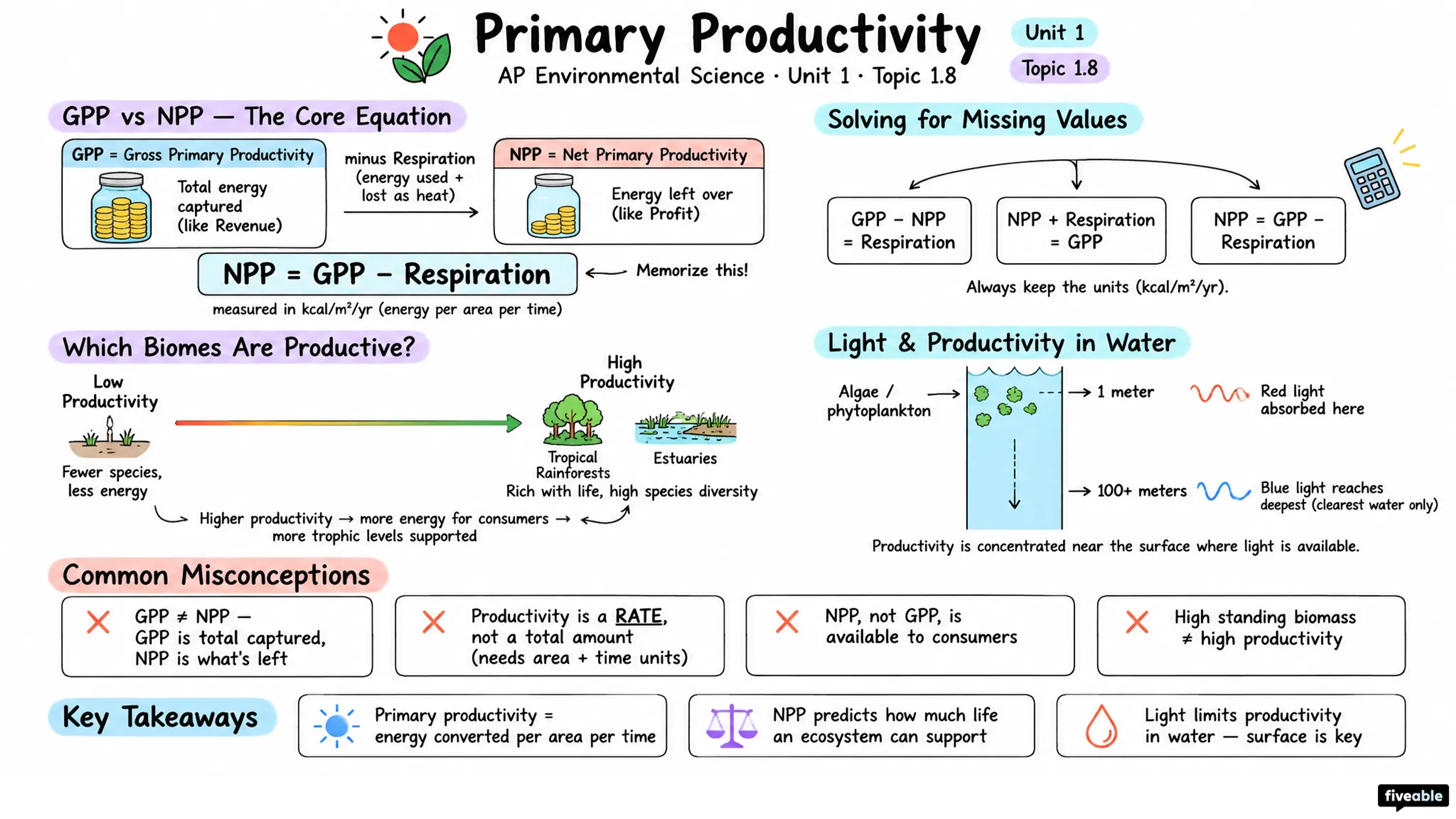 1.8 Primary Productivity - AP Environmental Science - Unit 1 visual cheatsheet