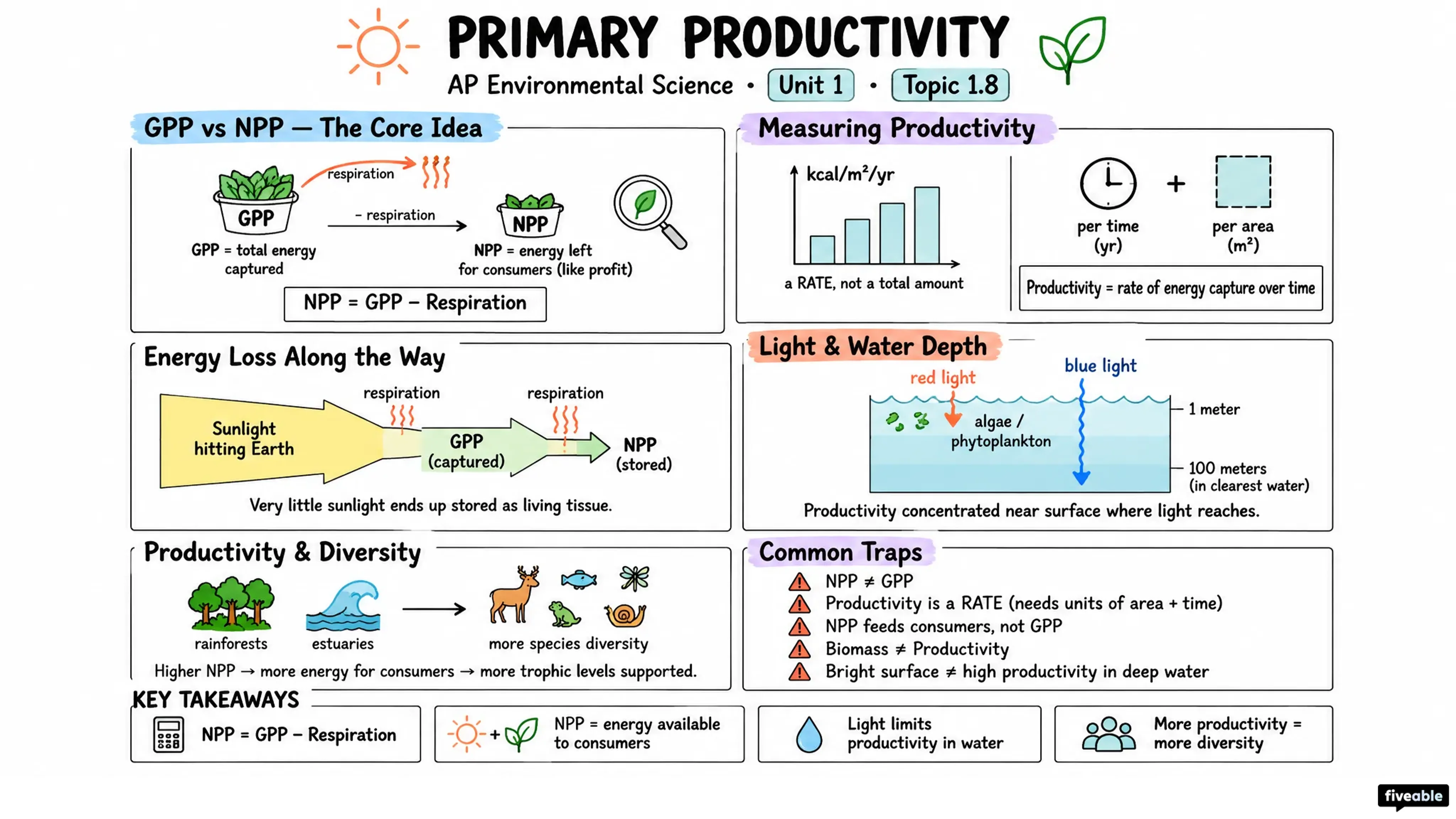 1.8 Primary Productivity - AP Environmental Science - Unit 1 visual cheatsheet