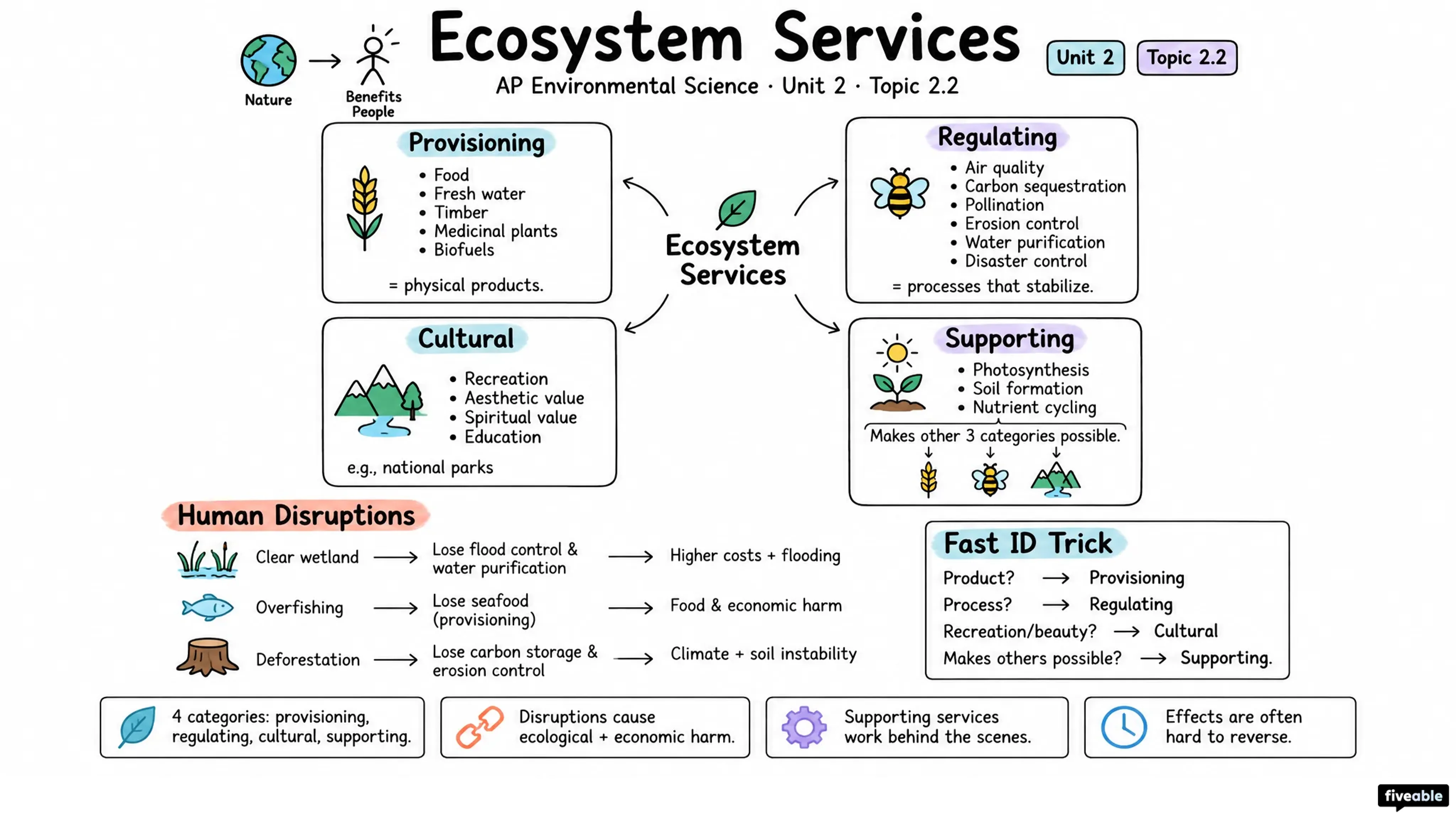 2.2 Ecosystem Services - AP Environmental Science - Unit 2 visual cheatsheet
