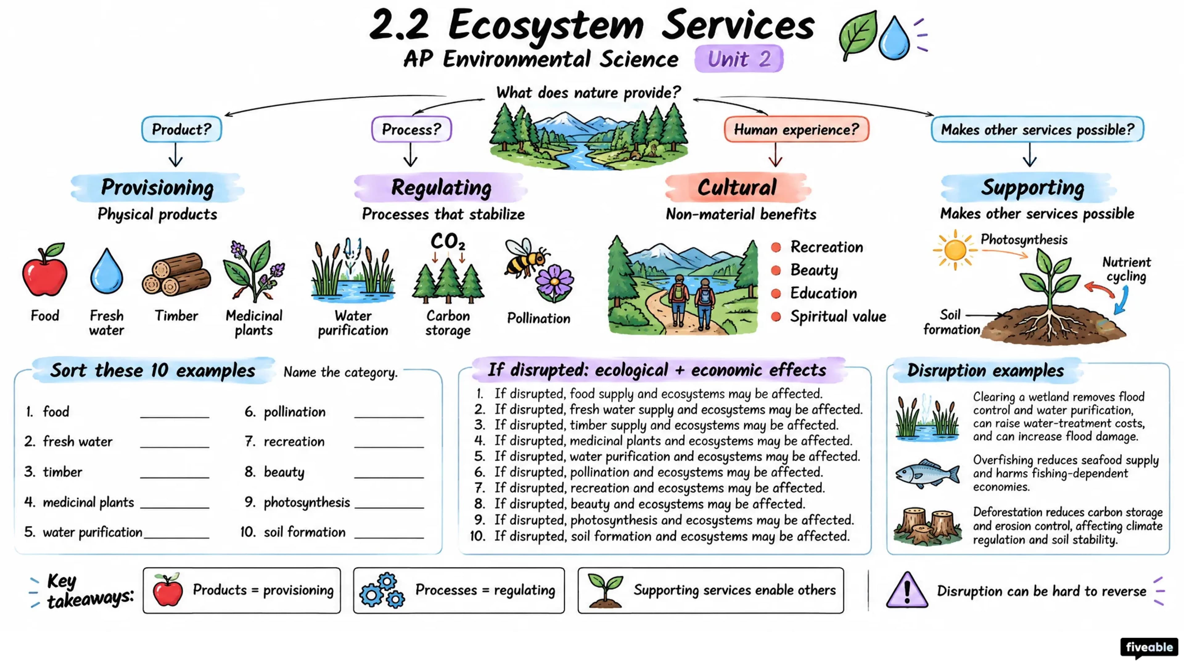 2.2 Ecosystem Services - AP Environmental Science - Unit 2 visual cheatsheet