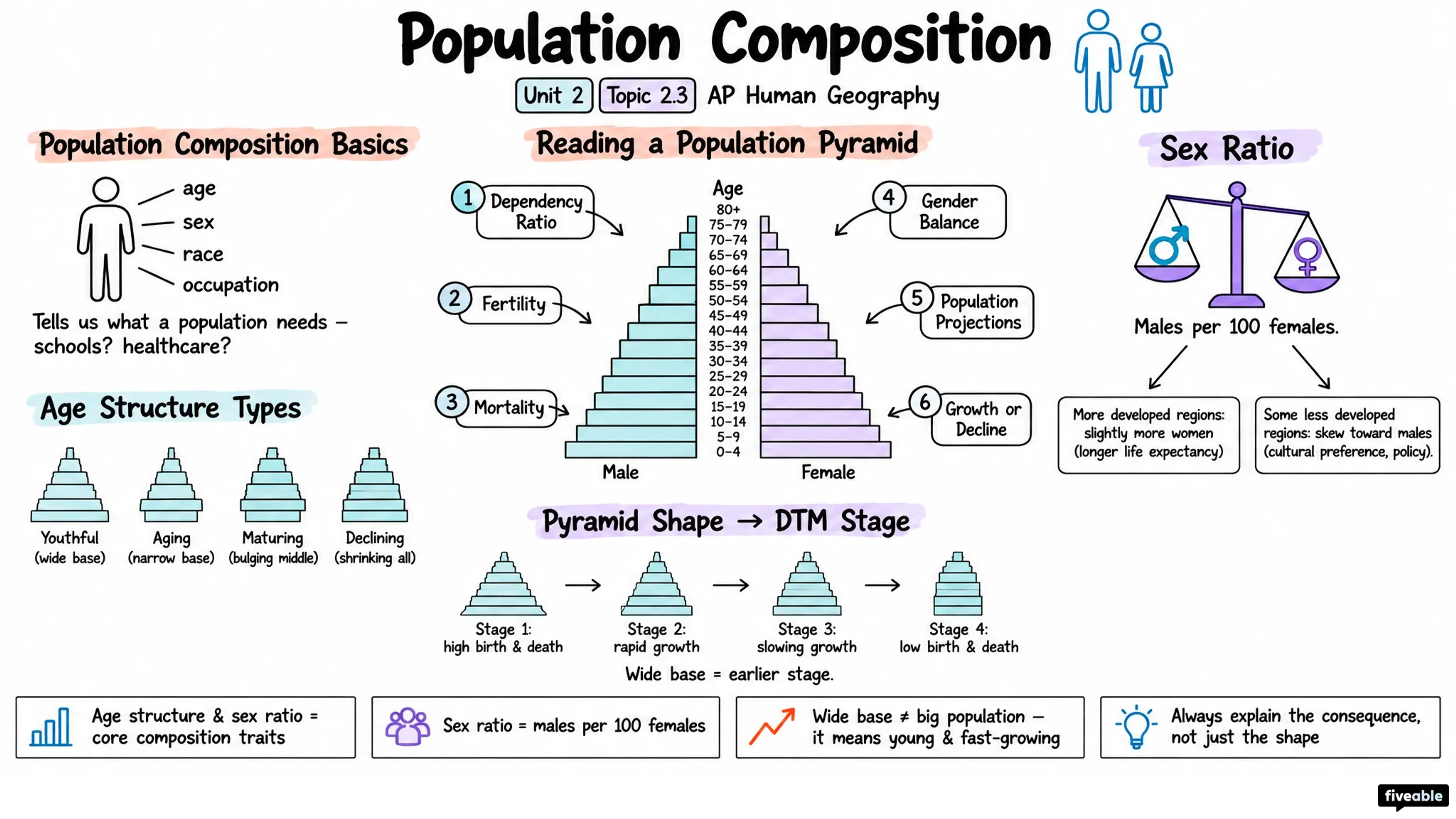 2.3 Population Composition - AP Human Geography - Unit 2 visual cheatsheet