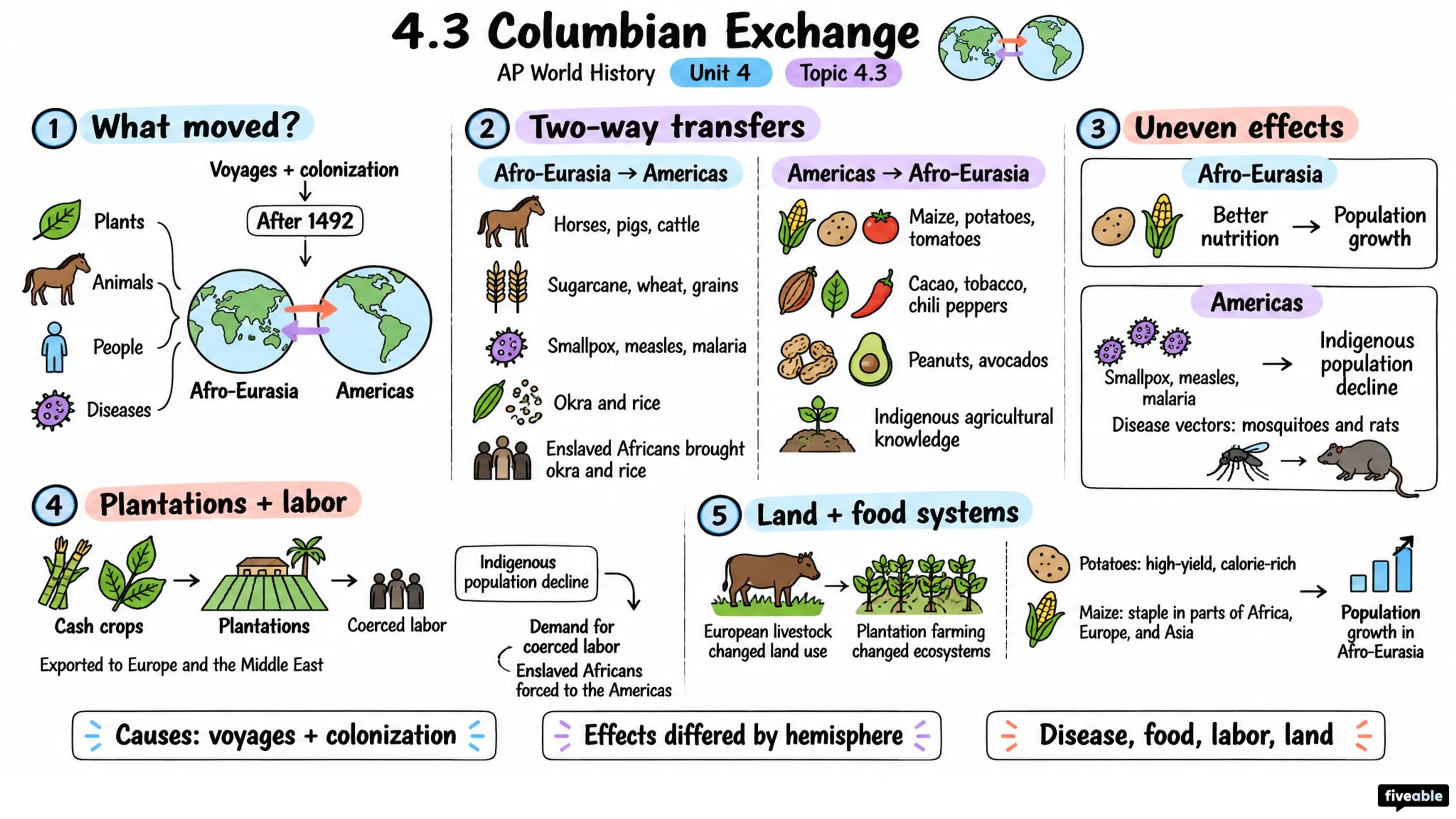 4.3 Columbian Exchange - AP World History - Unit 4 visual cheatsheet