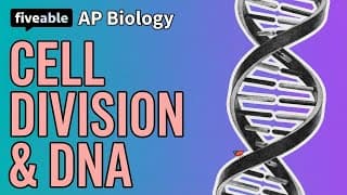 AP Biology - Cellular Respiration, Photosynthesis & DNA