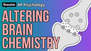 AP Psychology - Neurotransmitters & Brain Chemistry