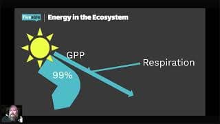 AP Environmental Science - Trophic Levels & Energy Flow