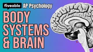 AP Psychology - Unit 2: Nervous System, Brain & Genetics