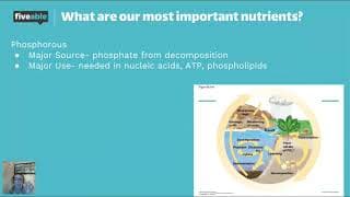 AP Biology - Unit 8 Review: Nutrient Cycles & Succession