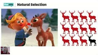 AP Biology - Microevolution & Hardy-Weinberg