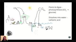 APES - Carbon Cycle & Climate Change