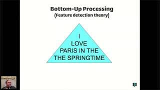 AP Psychology - Sensation & Perception