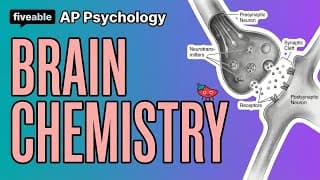 AP Psychology - Neurotransmitters & Brain Chemistry