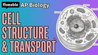 AP Biology - Cell Structure & Transport
