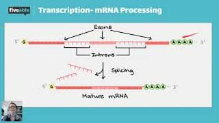 AP Biology - Gene Expression & Protein Synthesis