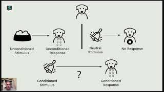 AP Psychology CRAM – Learning: Reinforcement & Punishment
