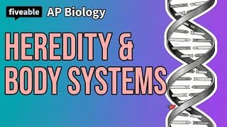 AP Biology - Heredity & Body Systems Review