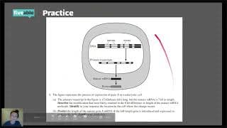 AP Biology CRAM – FRQ Practice Units 4-6