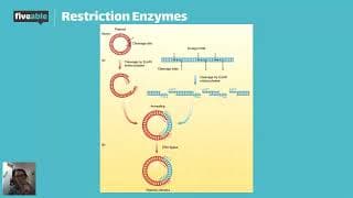 AP Bio - Biotechnology