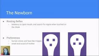 AP Psychology - Cognitive & Social Development