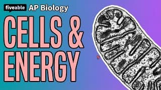 AP Biology - Cells, Energy & Speciation Review