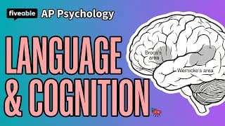 AP Psychology - Language Development & Acquisition