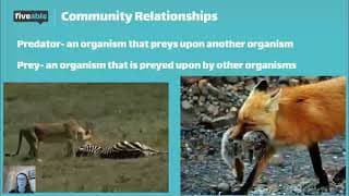 AP Biology - Ecology & Population Dynamics