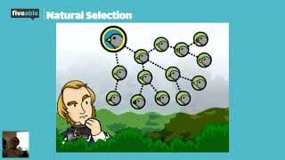 AP Biology - Microevolution & Natural Selection