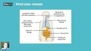 AP Biology - Immune System