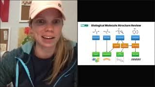 AP Biology - Enzyme Catalysis Lab Review