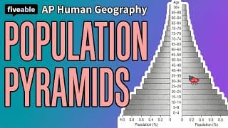 AP Human Geography - Population Pyramids