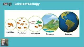 AP Biology - Population Ecology