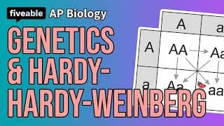 AP Biology - Genetics & Hardy-Weinberg Practice
