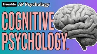 AP Psychology - Unit 5: Memory & Cognitive Psychology