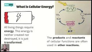 AP Bio - Photosynthesis hosted by Kari Parnin