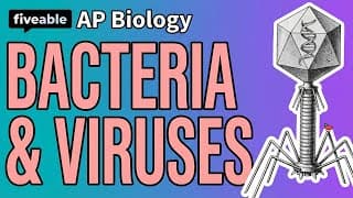 AP Biology - Bacteria & Viruses
