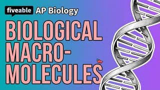 AP Biology - Biological Macromolecules