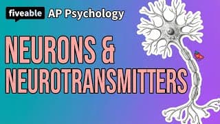 AP Psychology - Neurons & Neurotransmitters