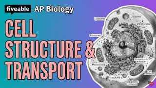 AP Biology - Cell Structure & Cellular Transport