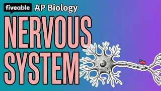 AP Biology - Nervous System: Action Potentials & Synapses