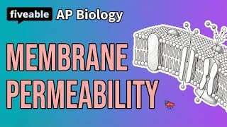 AP Biology - Membrane Permeability