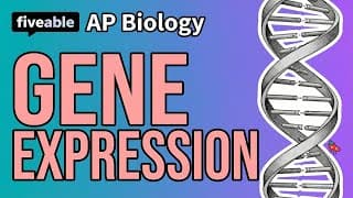 AP Biology - Unit 6 Review: Gene Expression & Regulation