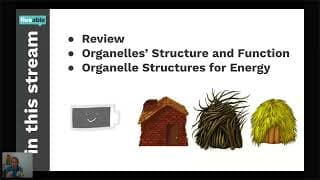 AP Biology - Cell Structure & Function