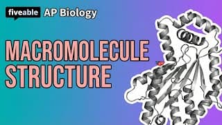 AP Biology - Structure & Function of Macromolecules