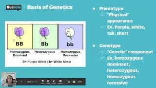 AP Biology - Mendelian Genetics